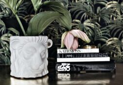 Glamouröses für den Garten