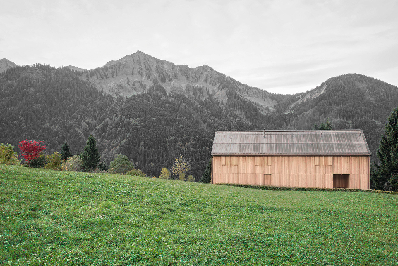Ein Fall für Architektur