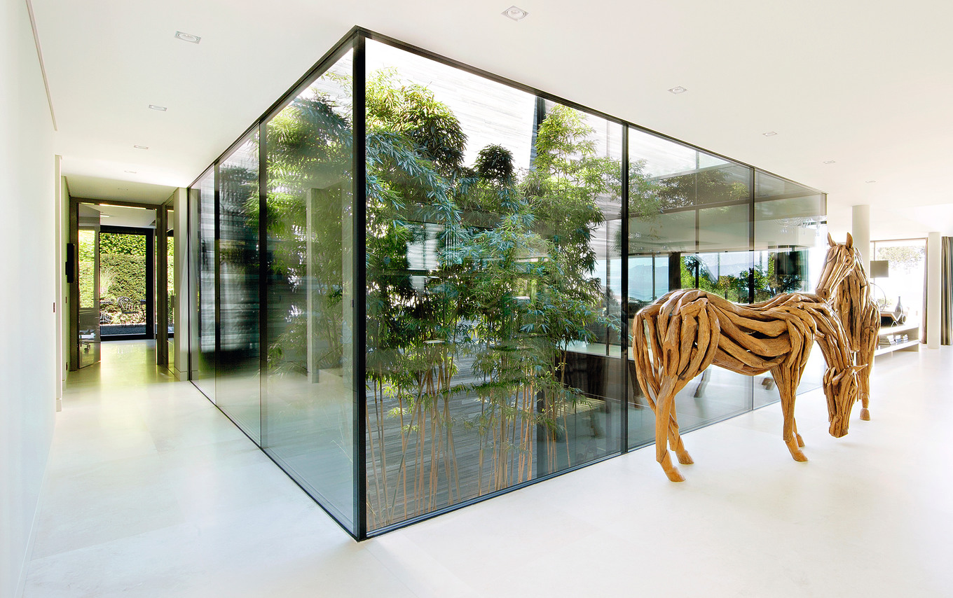 Grenzenlose Aussichten