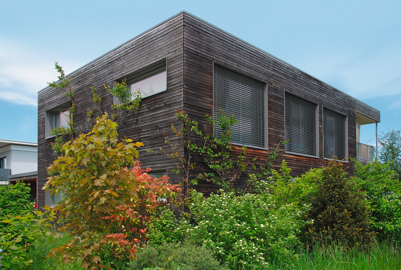 Verwitterte Holzfassaden