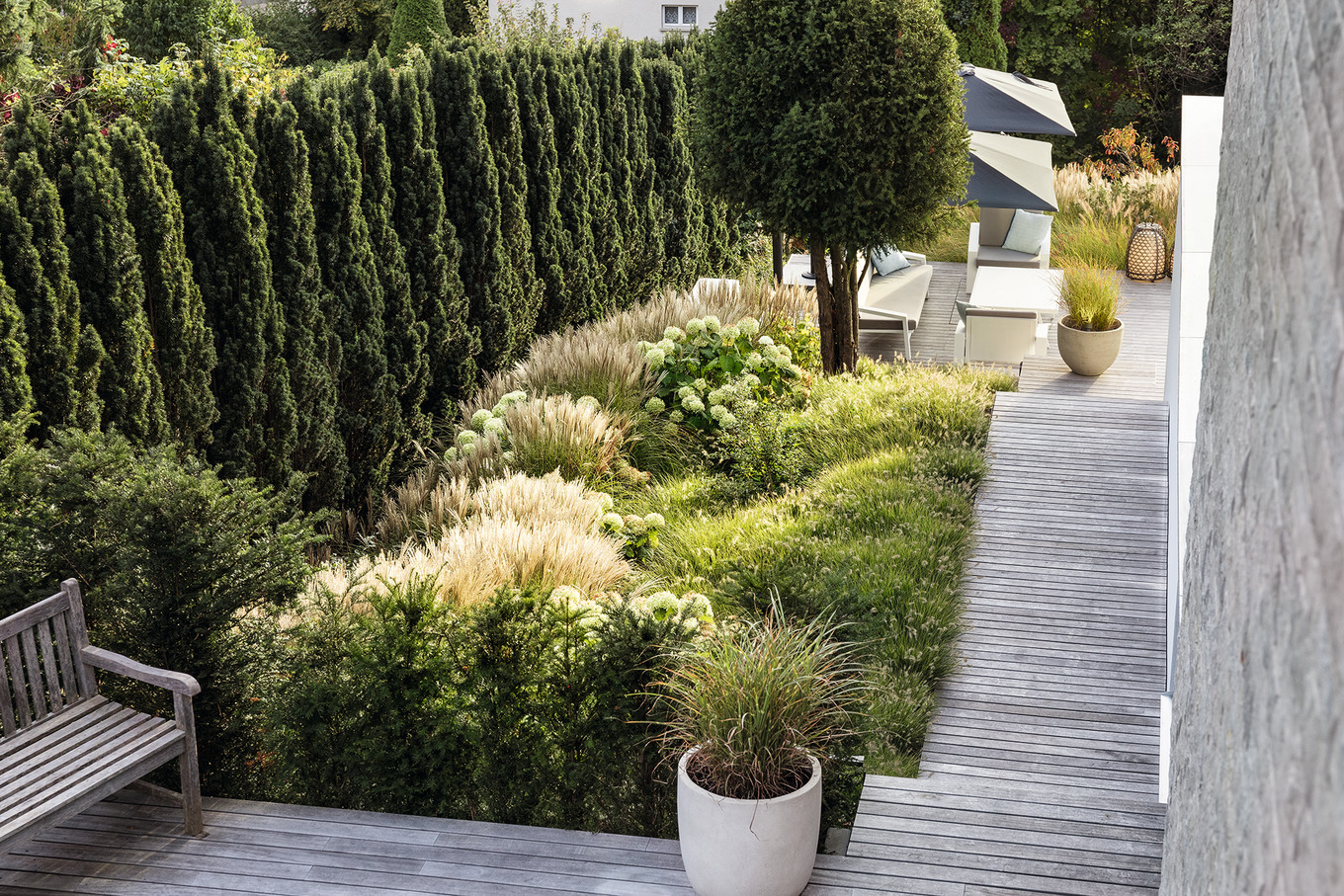 Ein Gräsermeer am Zürichsee