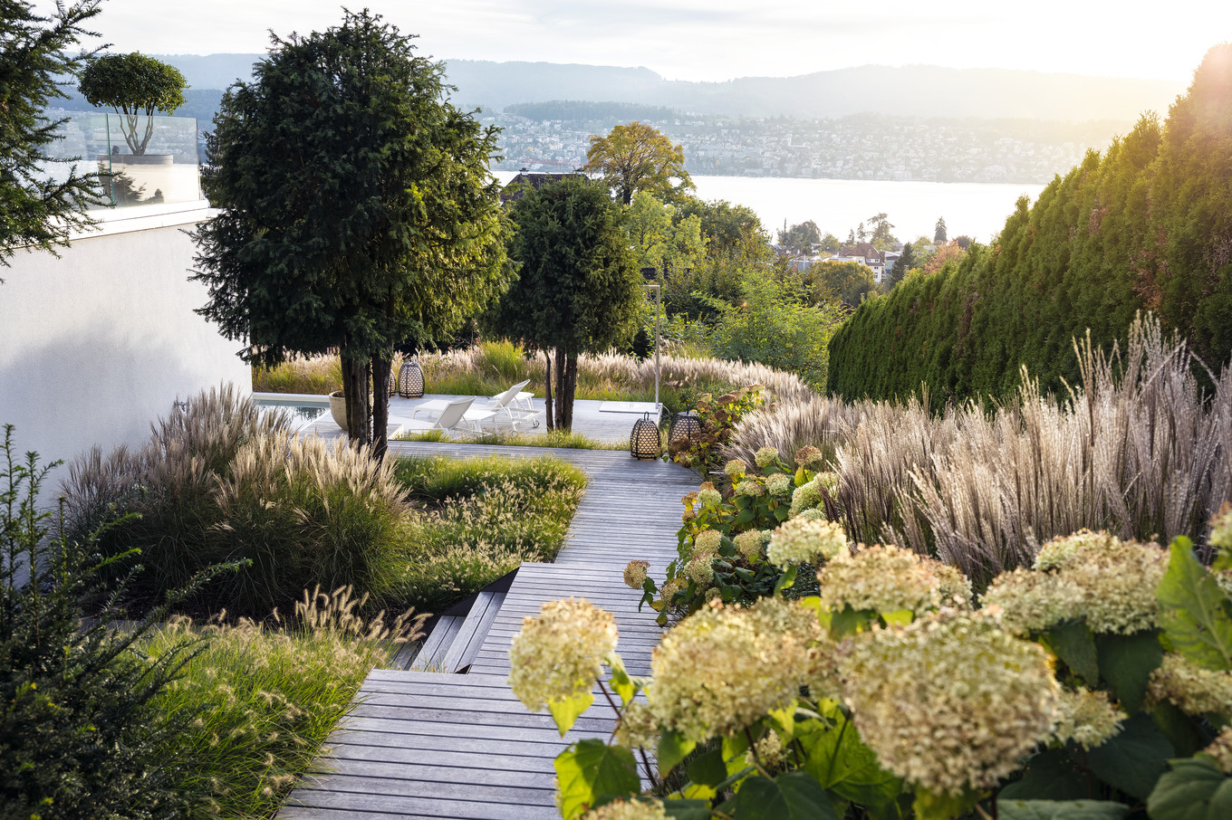 Ein Gräsermeer am Zürichsee