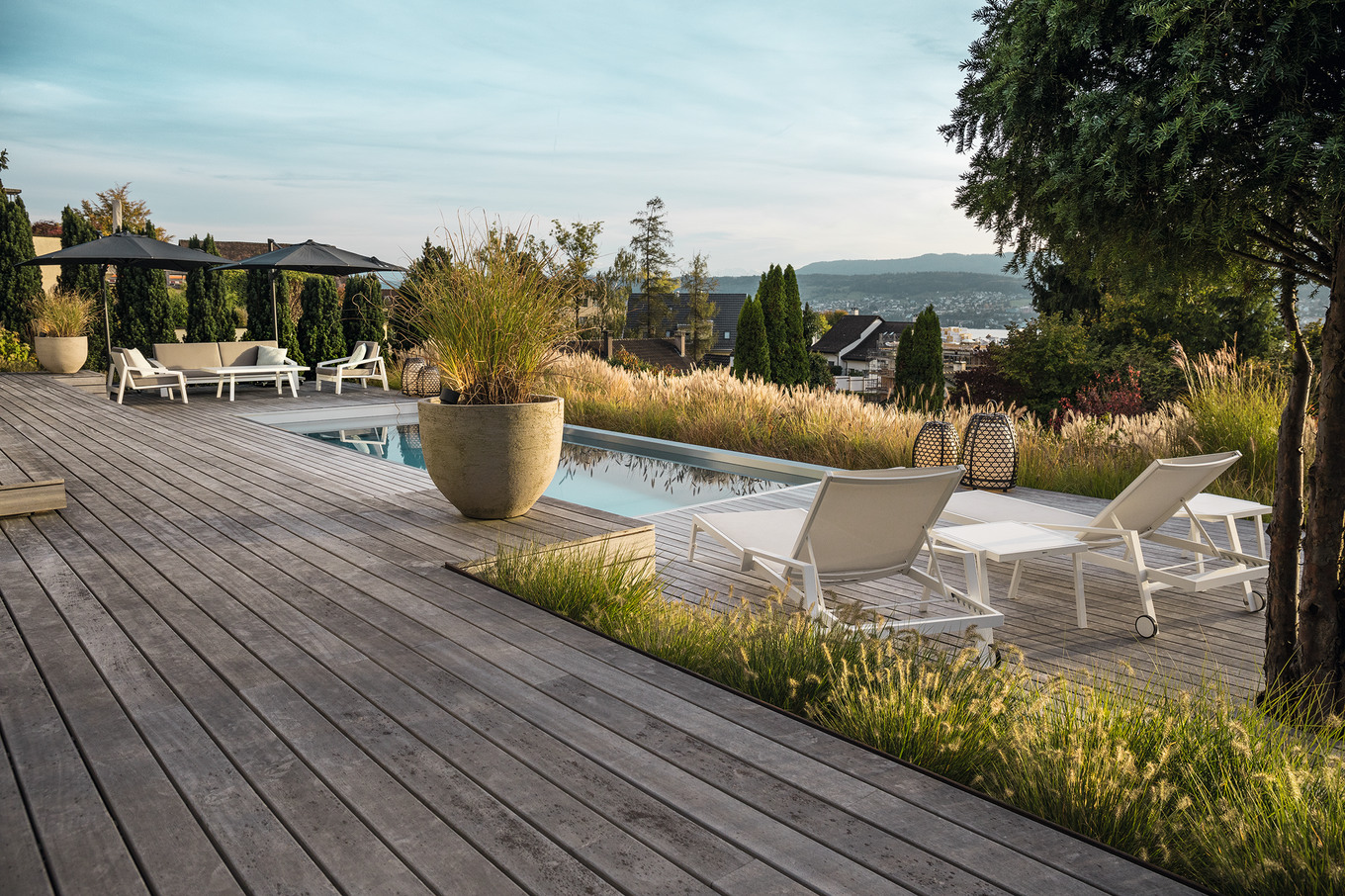 Ein Gräsermeer am Zürichsee