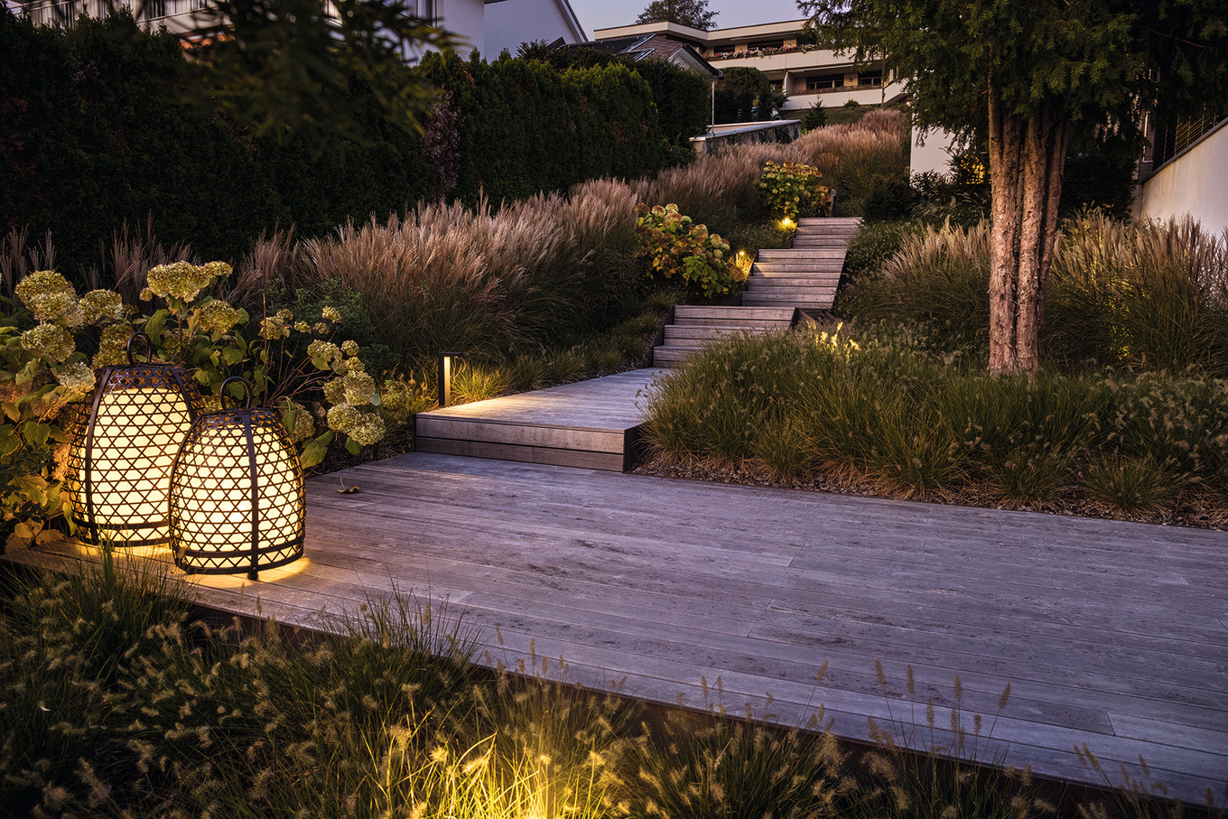 Ein Gräsermeer am Zürichsee