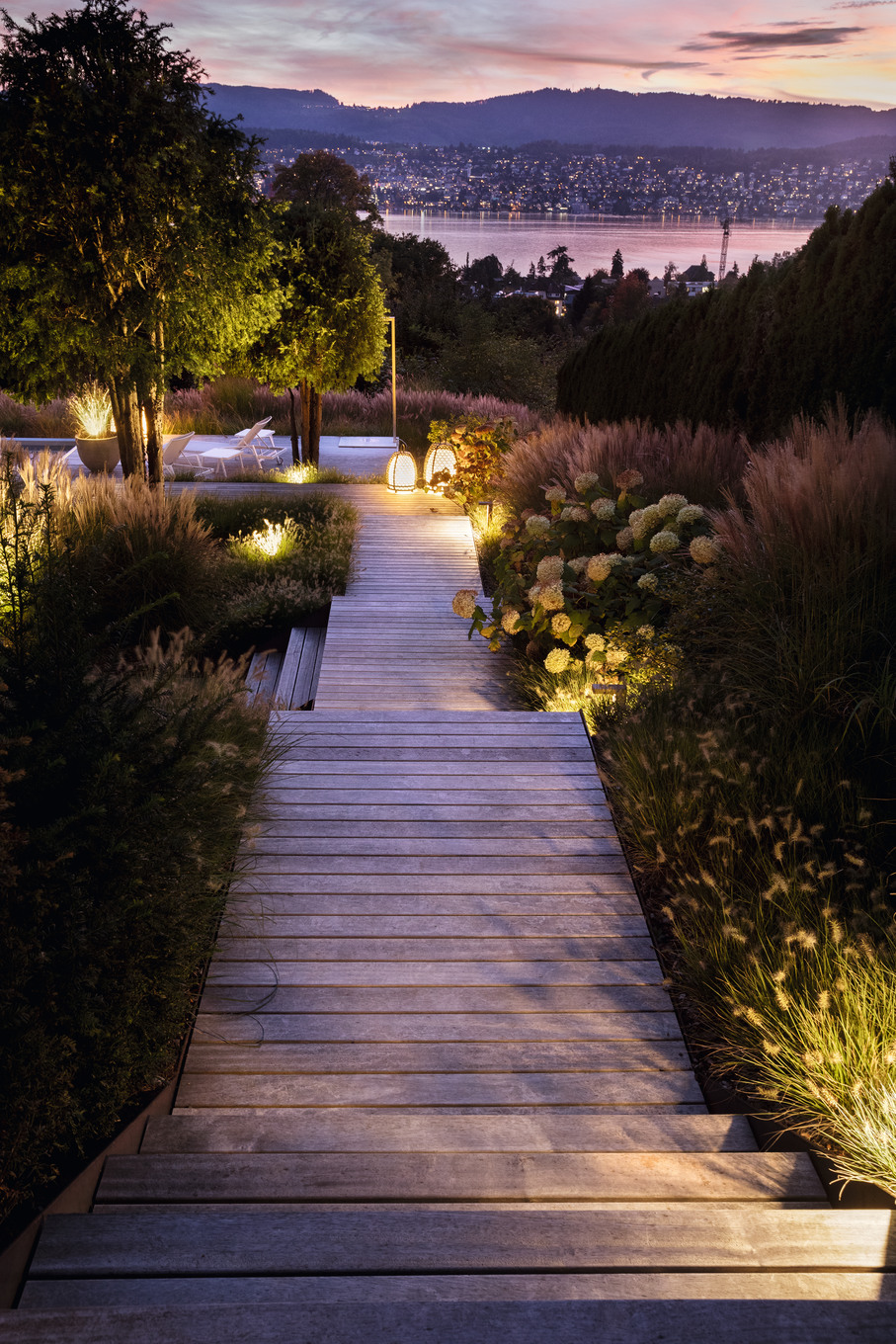 Ein Gräsermeer am Zürichsee