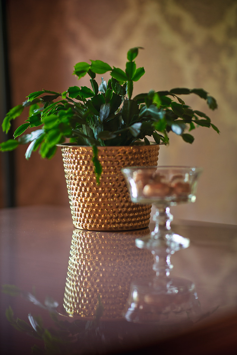 Boutique Guesthouse in Interlaken