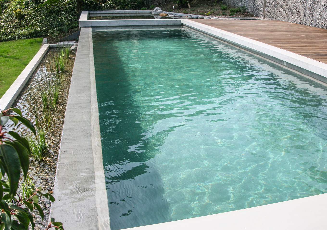 Bio-pools und Schwimmteiche: Natürlicher Badespass