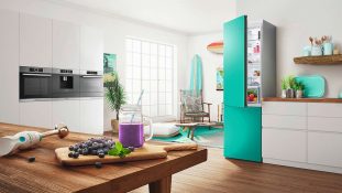 Ein kühles Chamäleon