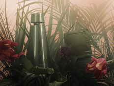 Perfekter Sound Für die Gartenparty