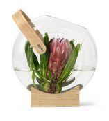 Blumen einmal anders