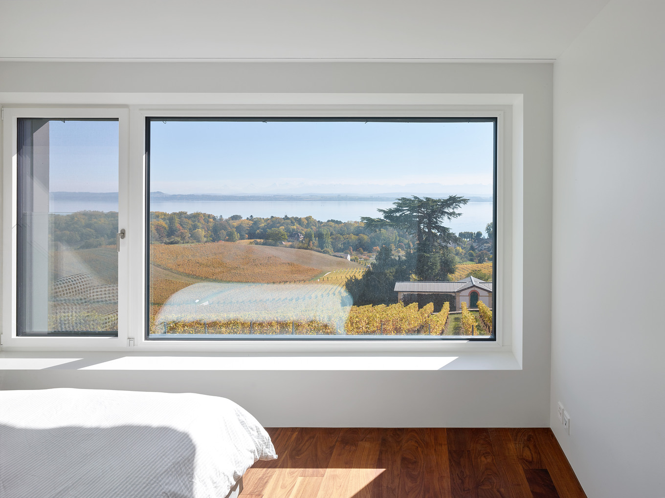 Mit der Umgebung verschmolzen