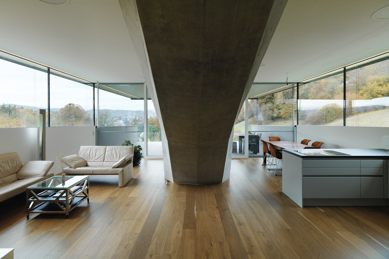 Bionisches Raumschiff