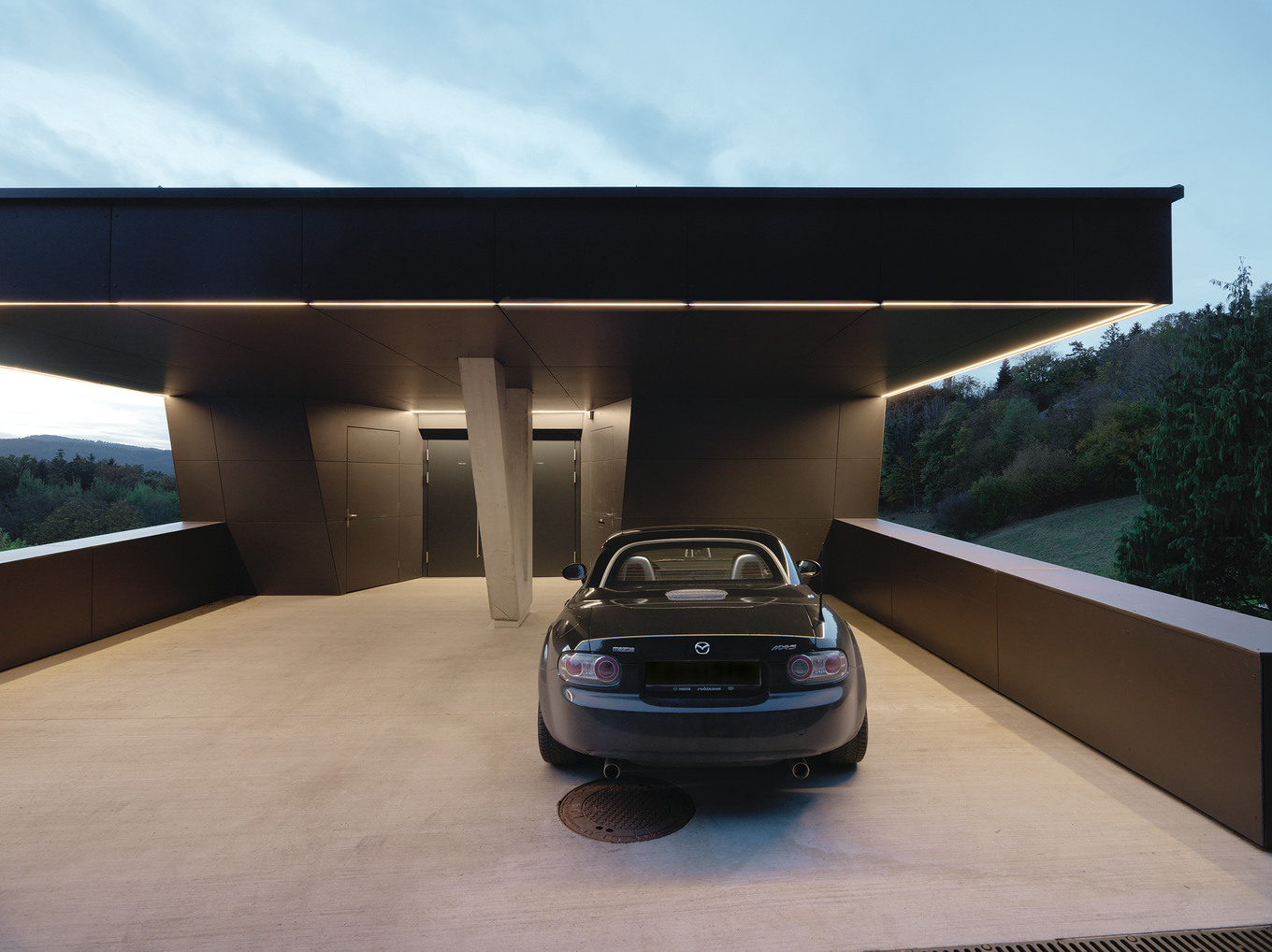 Bionisches Raumschiff