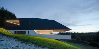 Bionisches Raumschiff