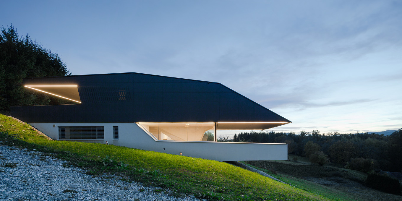 Bionisches Raumschiff