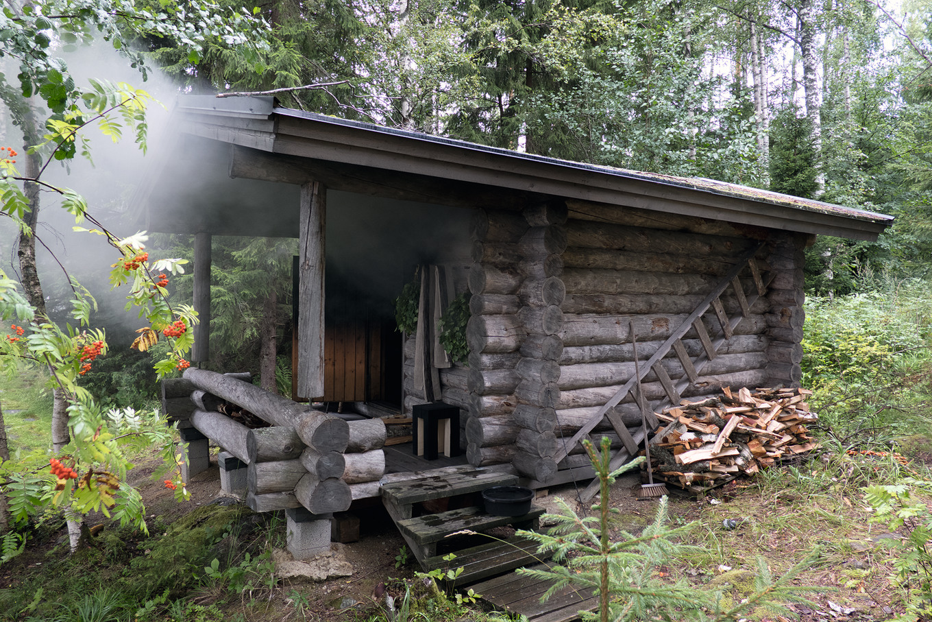 Mit der Natur verbunden leben