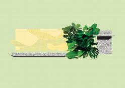 Zwischen Funktion und Kunst