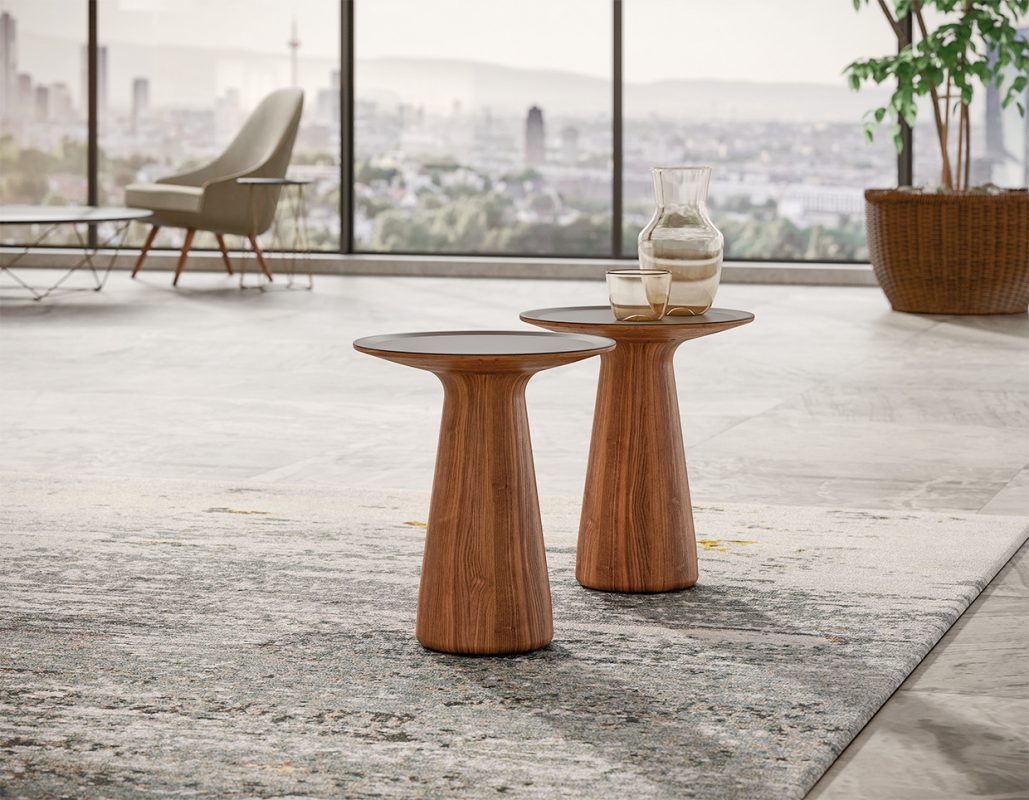 Ein kleiner Baum im Raum