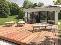 Im Sonnenlicht glänzen