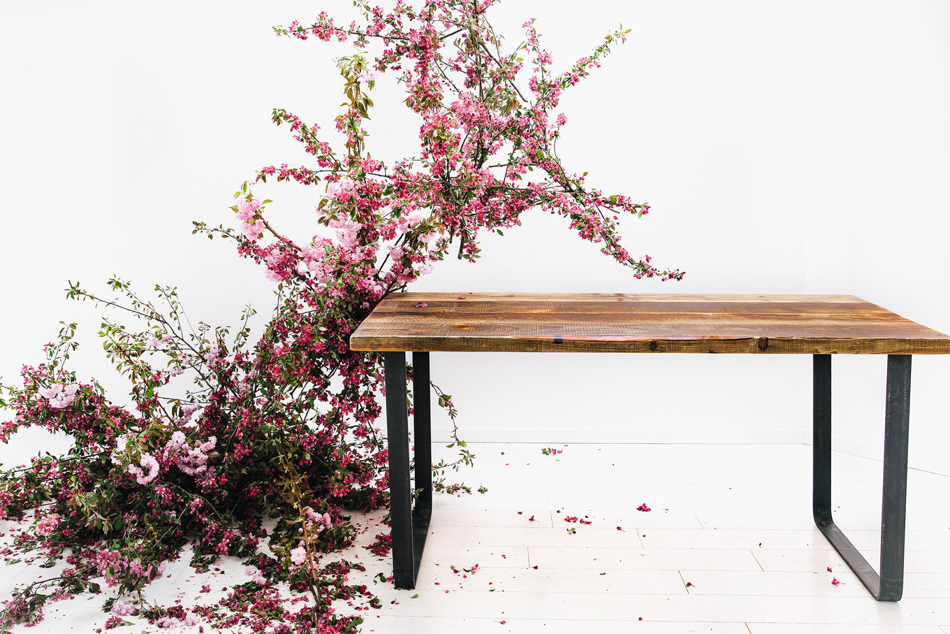 Holz, das bis zu 500 Jahre alt ist