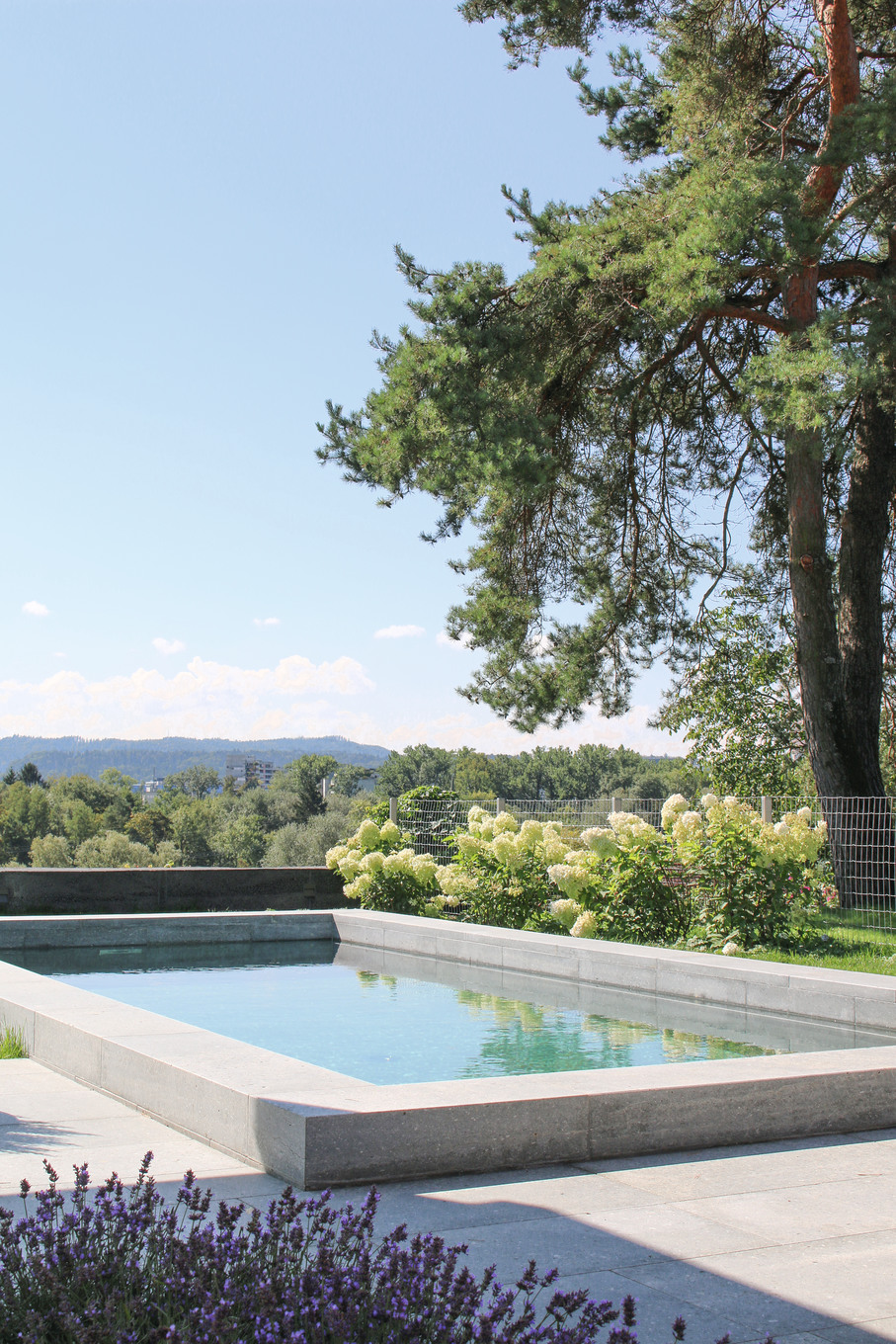 Die Provence im Garten