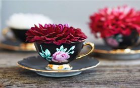 Tipps für die Gastgeberei