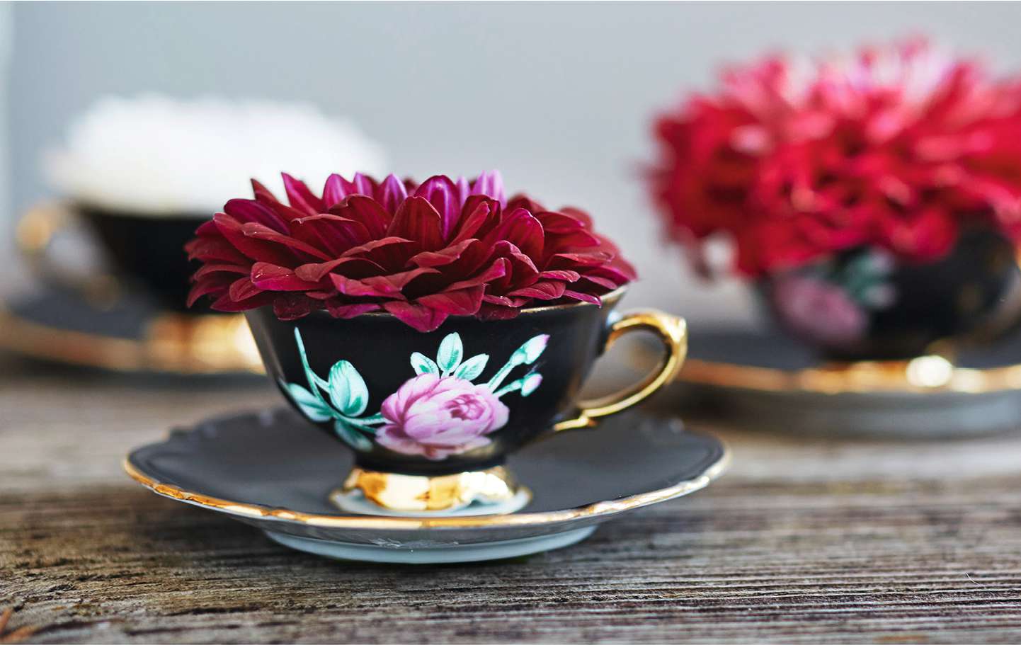 Tipps für die Gastgeberei