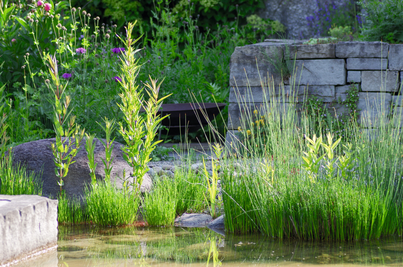 Verwandlung des Kuchenstücks