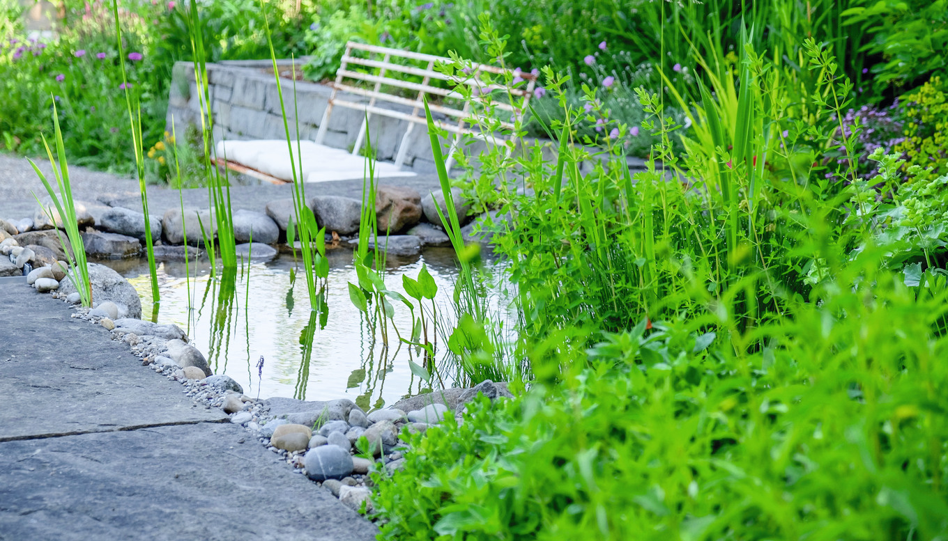 Verwandlung des Kuchenstücks