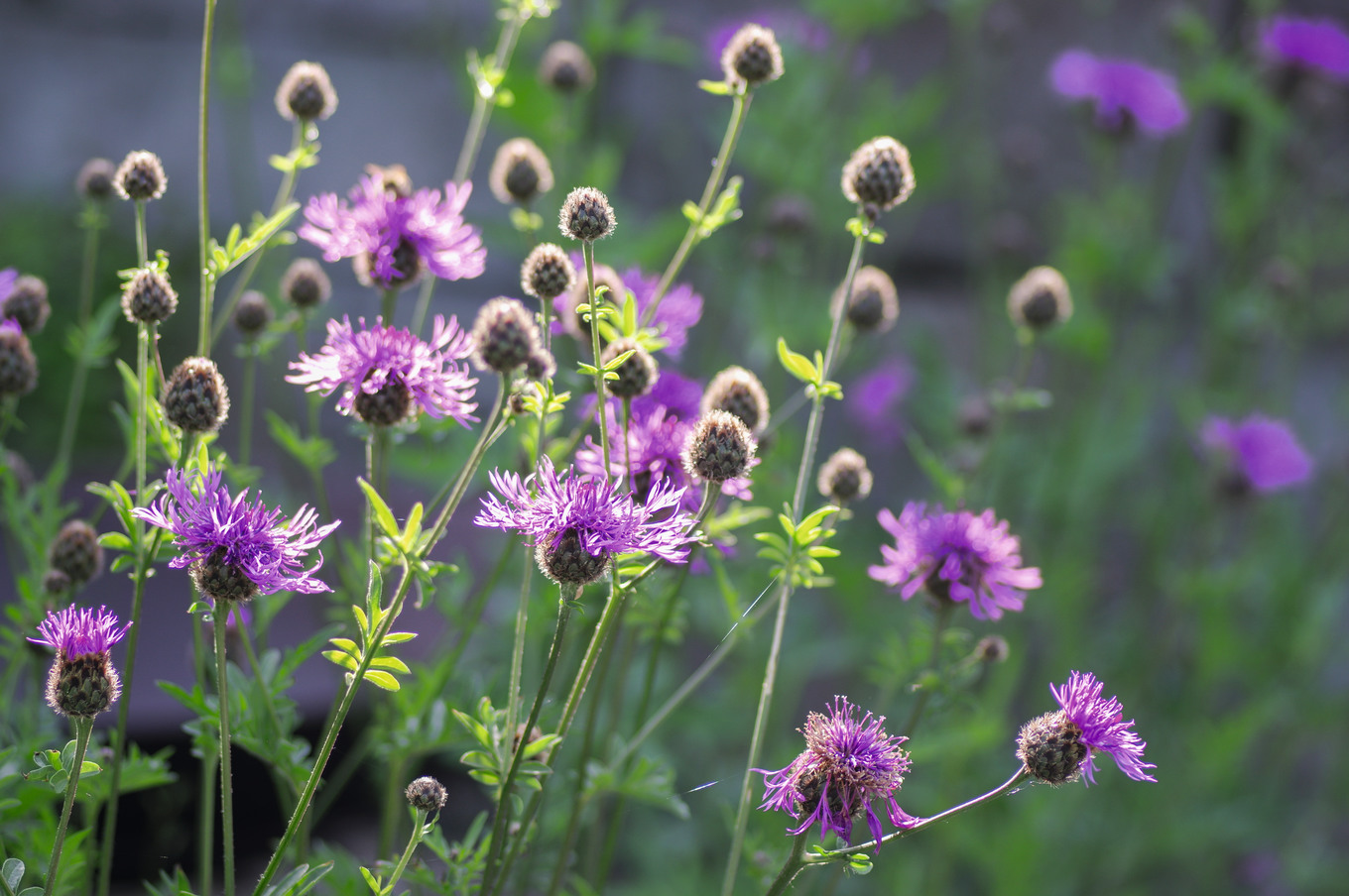 Verwandlung des Kuchenstücks