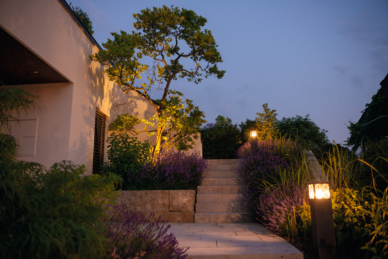 BEI LAUSCHIGEM ABENDLICHT