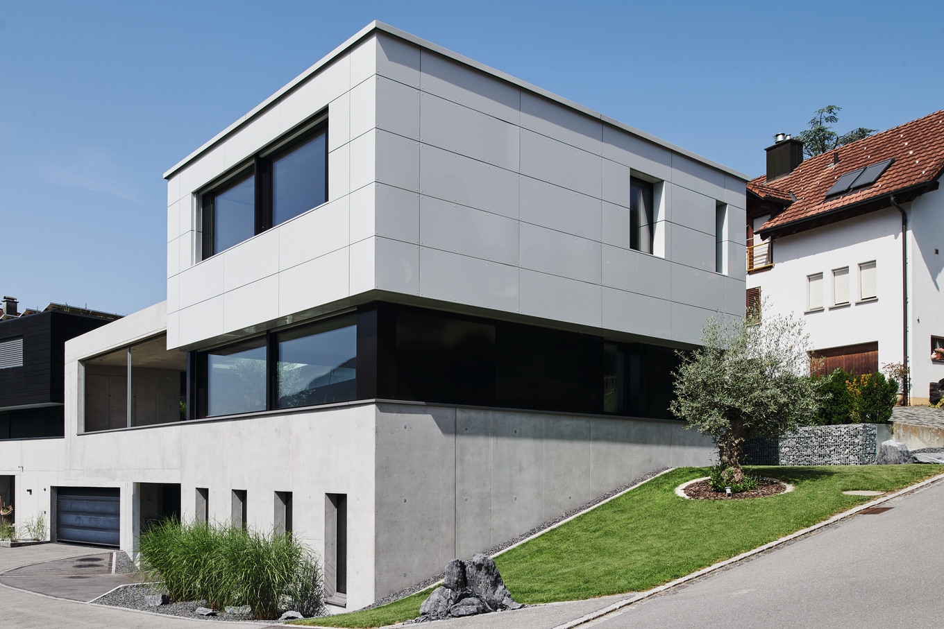 Im Herzen einen Olivenbaum