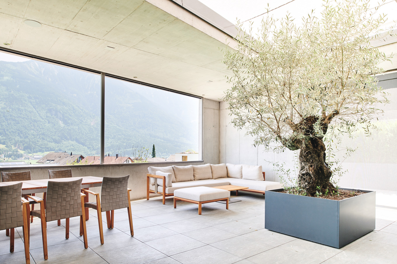 Im Herzen einen Olivenbaum