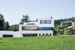 Im Herzen einen Olivenbaum