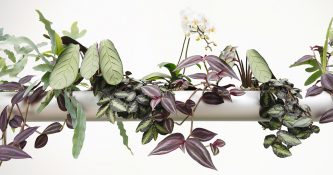 Einfach mal baumeln lassen