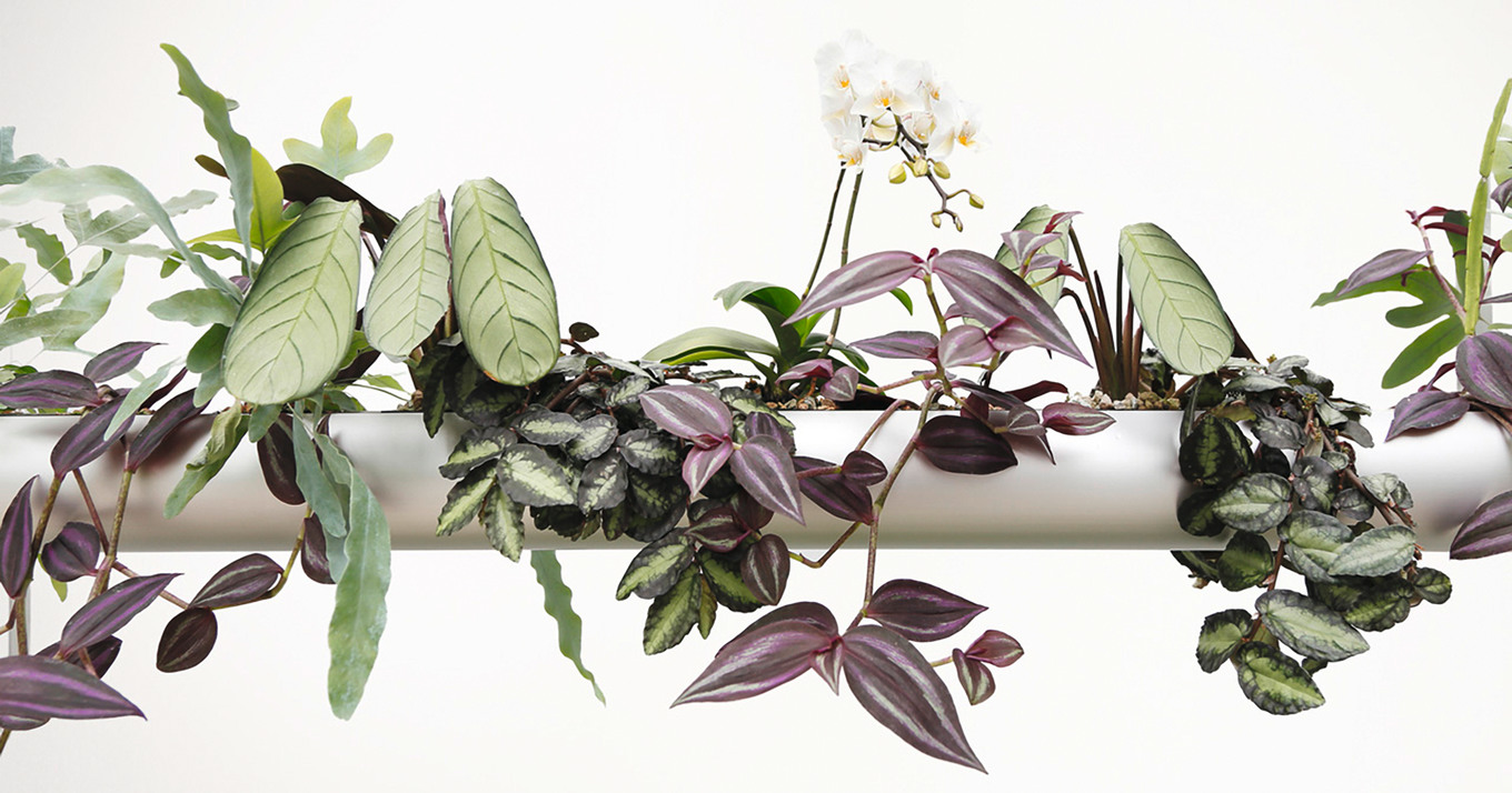 Einfach mal baumeln lassen