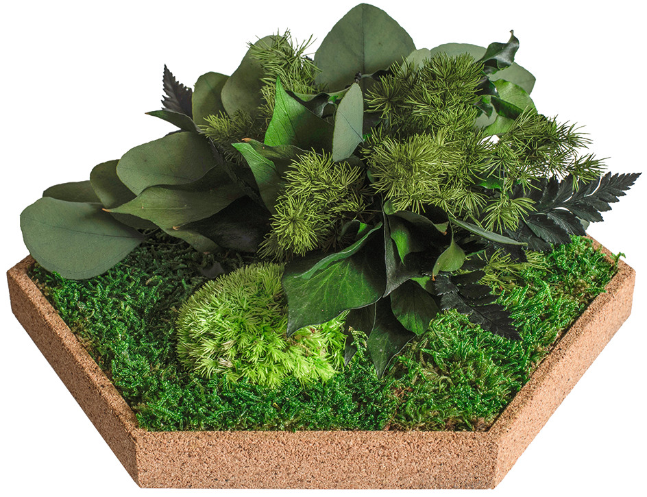 Vertikale Indoor-Gärten