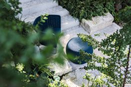 «Eine Oase ist eine Fülle an Grün»