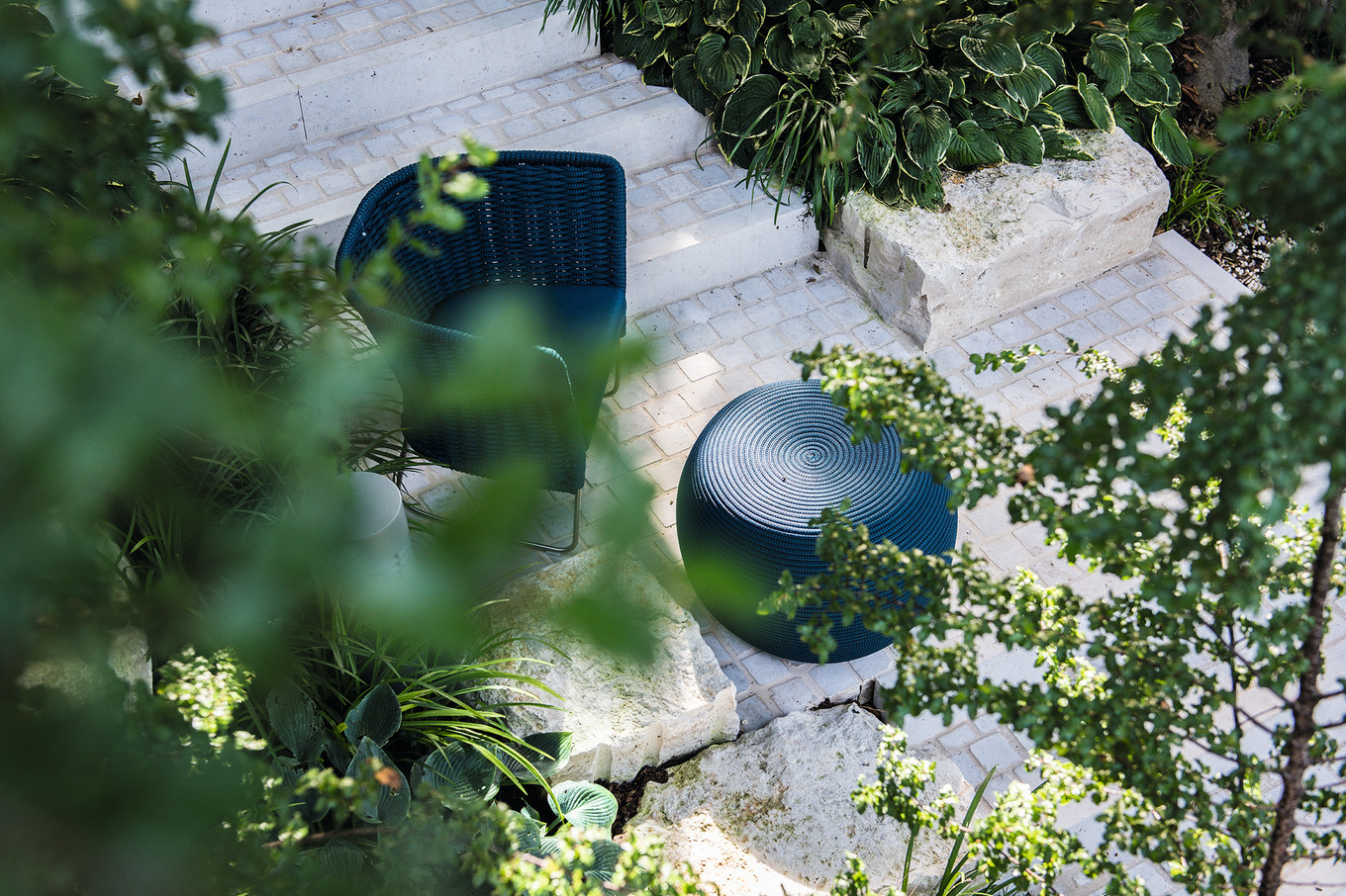 «Eine Oase ist eine Fülle an Grün»