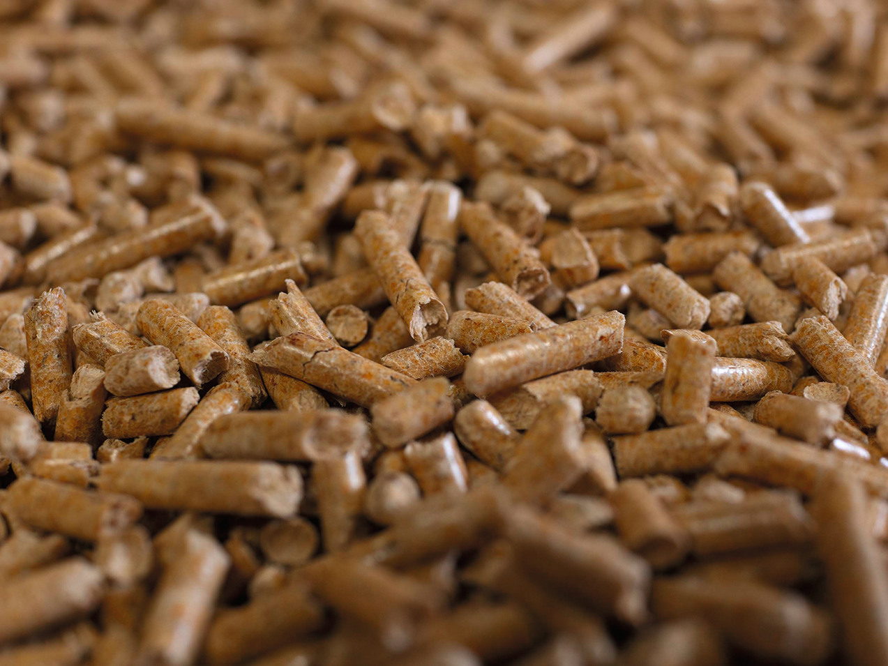 Klimafreundlich Heizen: Diese vier Systeme bauen auf erneuerbare Energie