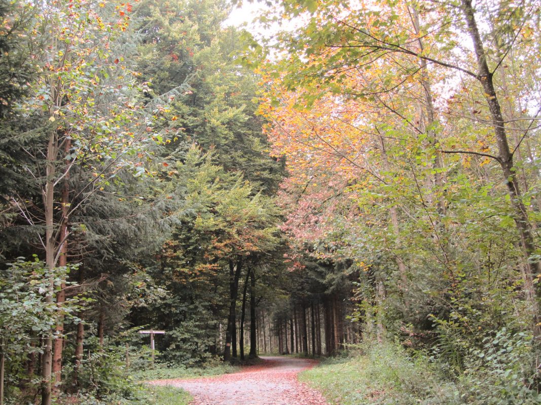 Was ein Feuer alles kann