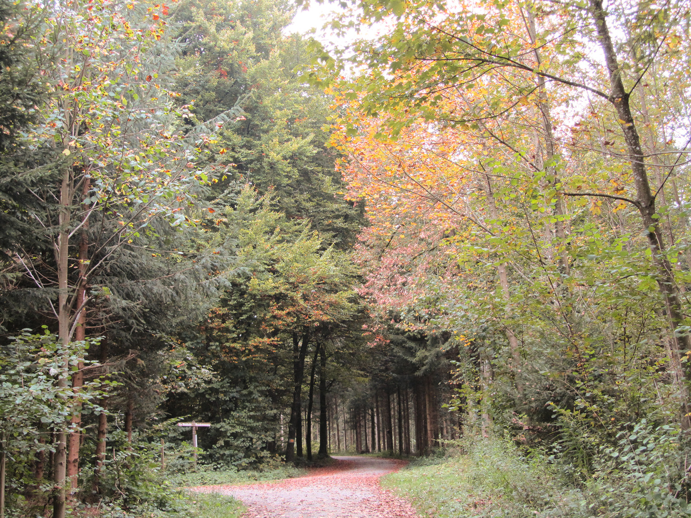 Was ein Feuer alles kann