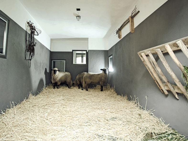 Durch eine Verglasung über der Küchenzeile ergibt sich ein einmaliger Einblick in den Schafstall.