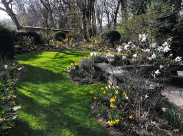 Gold Award Lost Garden