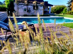 Living Pool